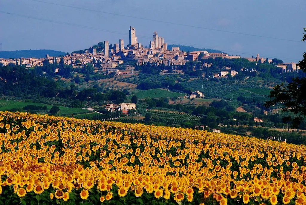 Villa Il Palagione San Gimignano Alloggio per agriturismo