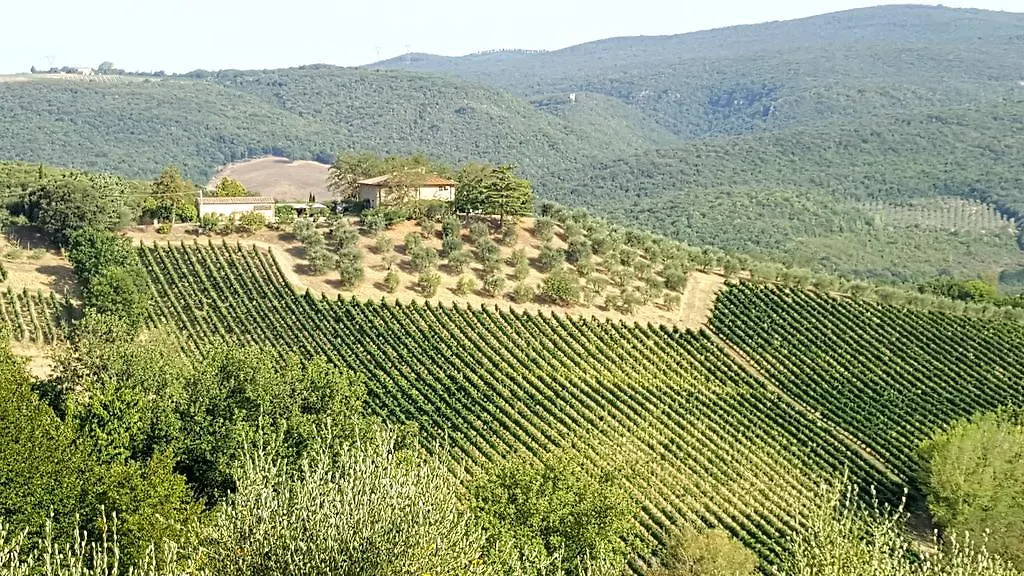 Villa Il Palagione San Gimignano 0*,  Italia