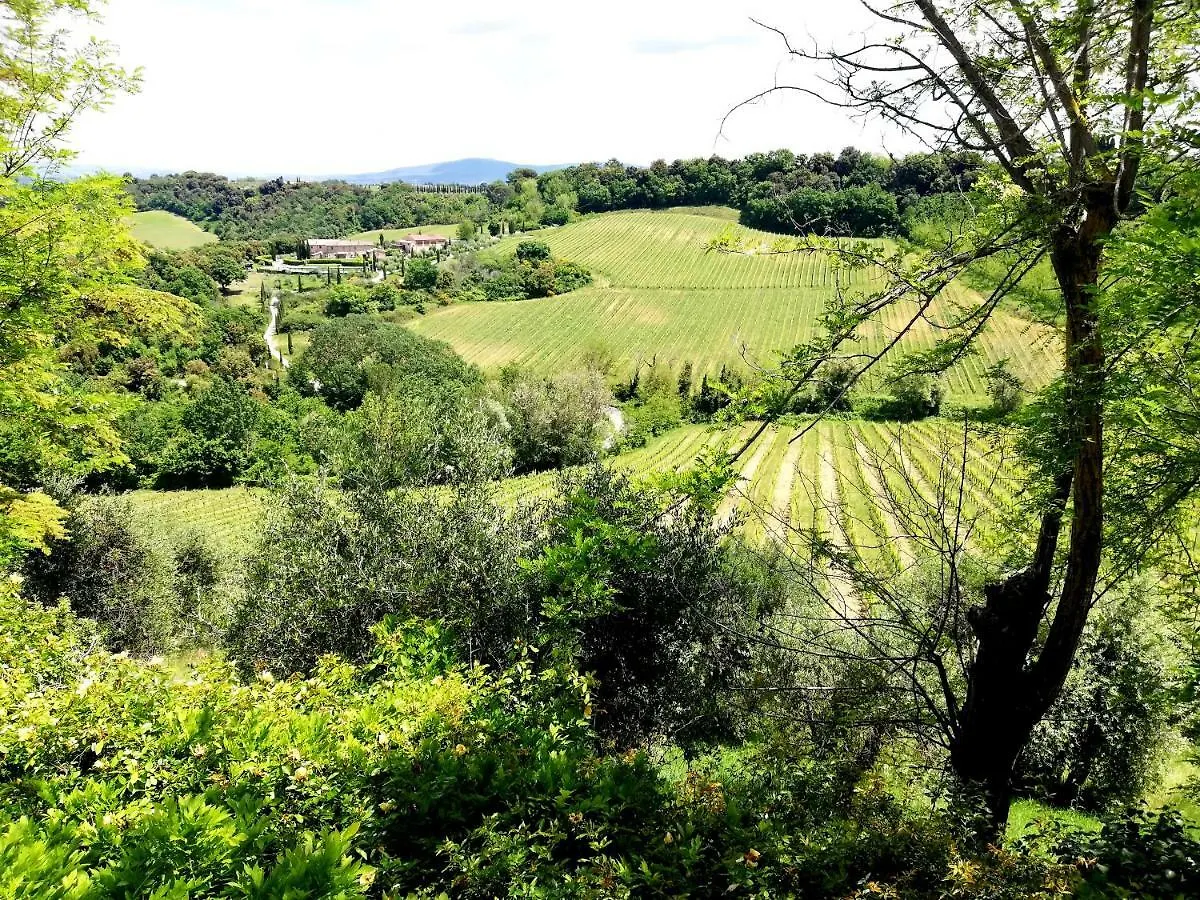 Farm stay Il Palagione Villa San Gimignano